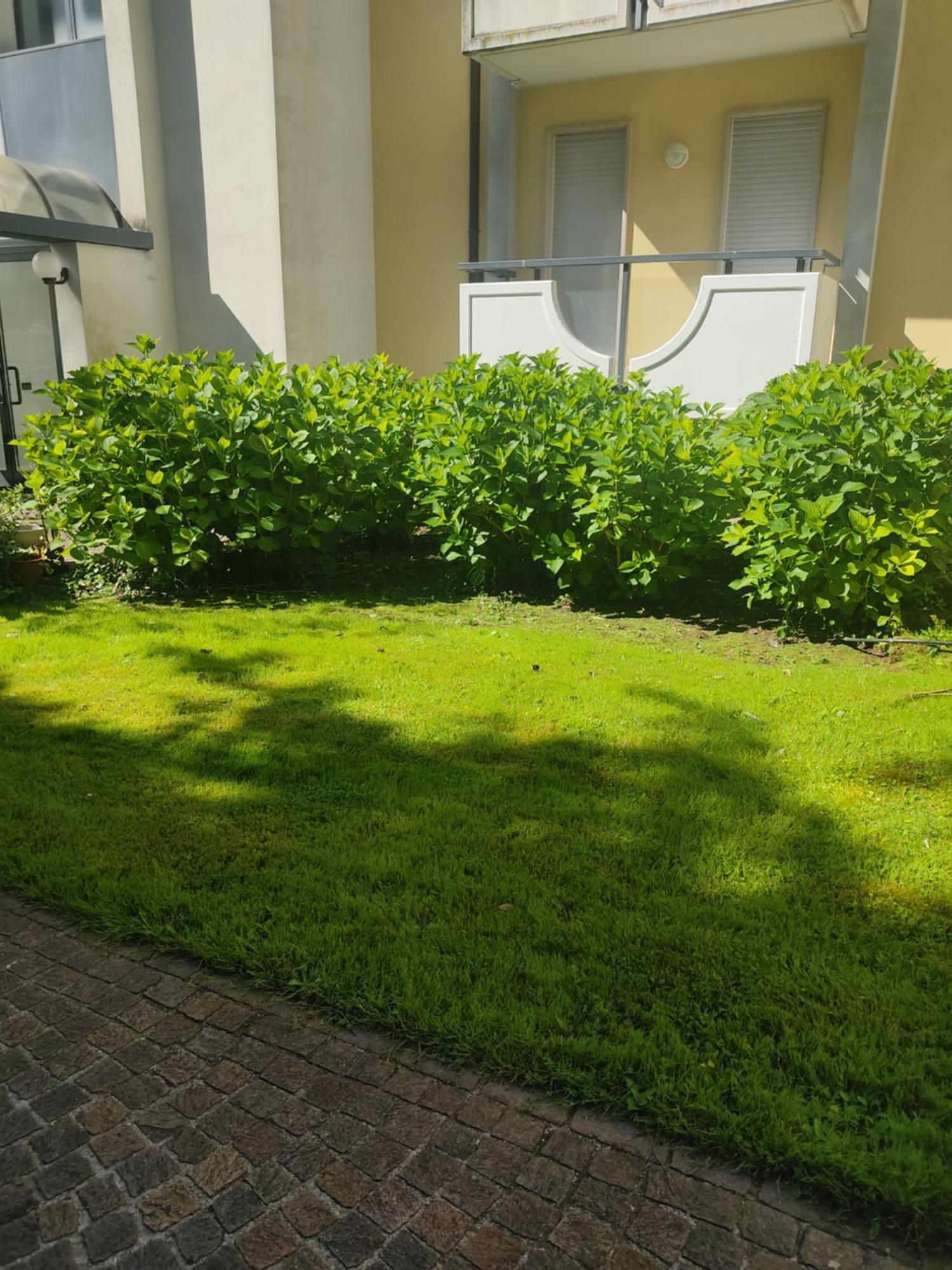 Appartamento Laura Riva del Garda Exterior photo